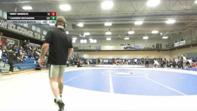 141 lbs 3rd Place Match - Carsen Richards, Lake Erie vs Bret Minnick, Tiffin