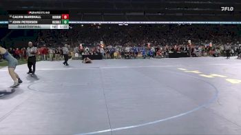 D3-215 lbs Quarterfinal - John Petersen, Hillsdale vs Calvin Marshall, Ogemaw Heights HS
