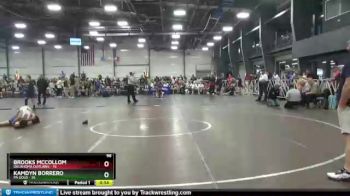 96 lbs Round 2 - Kamdyn Borrero, PA Gold vs Brooks McCollom, Oklahoma Outlaws