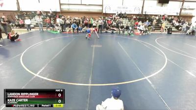 74 lbs Cons. Semi - Kaze Carter, Altamont vs Landon Ripplinger, Northside Wrestling Club