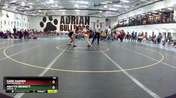 141 lbs Round 1 (6 Team) - Ashtyn Bennett, Adrian vs Gabe Hansen, Ohio Northern