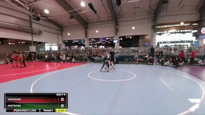 86 lbs Round 4 - Jackson Bucher, Gracie Barra Westchase Wrestling Club vs Joaquin Tamayo, Vici Wrestling Club