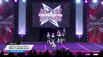 Hession Cheer Academy - Pink Flamin-GALS [2024 L1.1 Mini - PREP Day 1] 2024 JAMfest Cheer Super Nationals