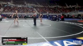 D1-120 lbs Semifinal - Andee Anderson, Basha vs Chelsey Patterson, Desert Vista