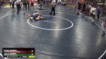 90 lbs Quarterfinal - Tyler Jeffries, Amateur Wrestling Academy vs Leilah Saremi, Top Dog Wrestling Club