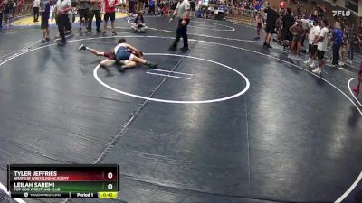 90 lbs Quarterfinal - Tyler Jeffries, Amateur Wrestling Academy vs Leilah Saremi, Top Dog Wrestling Club