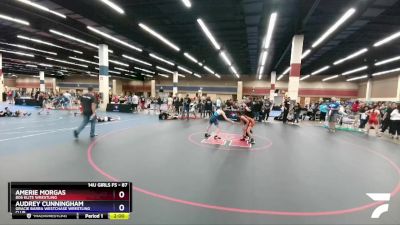 87 lbs Round 3 - Amerie Morgas, 806 Elite Wrestling vs Audrey Cunningham, Gracie Barra Westchase Wrestling Club