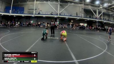 110 lbs Round 1 (4 Team) - Gavin Isacco, Vipers Wrestling vs Hunter Appello, Yale Street