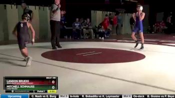 106 lbs Round 2 - Mitchell Schmauss, Crestwood vs Landon Bruess, New Hampton/Turkey Valley
