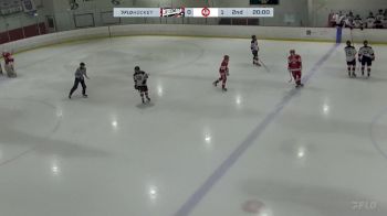 Replay: Home - 2025 Comets vs Dogs | Jan 15 @ 12 PM