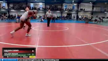 174 lbs Champ. Round 1 - Walker Ingham, Rochester Community & Tech. College vs Sheldon Cherry, Luther