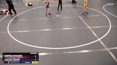 87 lbs Semifinal - Harper Hamacher, Pursuit Wrestling Minnesota vs Carter Strauss, No Nonsense Wrestling