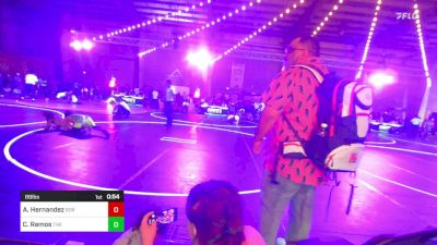 89 lbs Rr Rnd 2 - Ava Hernandez, 806 Takedown Wreslting vs Cruz Ramos, The Wrestling Asylum