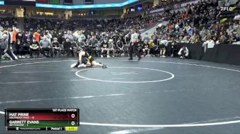 113 lbs Finals (1st & 3rd) - Mat Prine, Southeast Polk vs Garrett Evans, Bettendorf