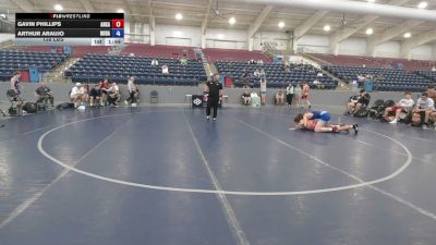 138 lbs Gavin Phillips, Arkansas vs Arthur Araujo, North Dakota