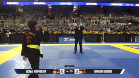 Liam John Mitchell vs Micheal Josef Herzog 2025 Pan Kids Jiu-Jitsu IBJJF Championship