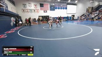 120 lbs Quarterfinal - Troy Moe, Buffalo vs Blain Johnson, Douglas