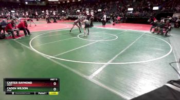 167 lbs Quarterfinal - Caden Wilson, STOA vs Carter Raymond, WAD1