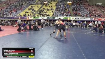 141 lbs Semis & 3rd Wb (16 Team) - Alyeus Craig, St. Cloud State vs Ronan Schuelke, McKendree