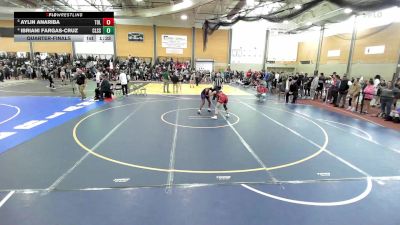 126 lbs Quarterfinal - Aylin Anariba, Tolman vs Ibriani Fargas-Cruz, Classical
