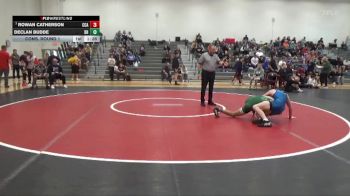 132 lbs Cons. Round 1 - Rowan Catherson, Clear Creek-Amana vs Declan Budde, Dubuque Hempstead