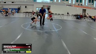 60 lbs Round 4 (6 Team) - Brantley Prine, BHWC Dirt Divers vs Carson Swartwood, Florida Fire