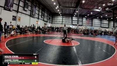 75 lbs Round 4 (6 Team) - Wolfie Strobl, DARKHORSE WRESTLING CLUB vs Zaeden Young, PIT BULL WRESTLING ACADEMY