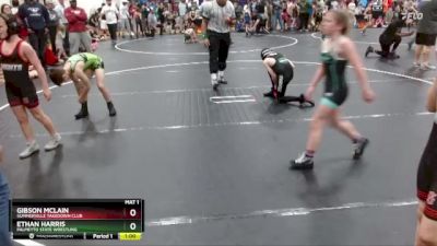 85 lbs Semifinal - Gibson Mclain, Summerville Takedown Club vs Ethan Harris, Palmetto State Wrestling