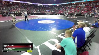 D2-175 lbs Quarterfinal - Mason Lane, Lodi vs Espyn Sweers, Mauston/Necedah