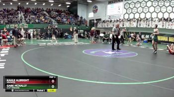 165 lbs Quarterfinal - Gabe McNally, Clay (Oregon) vs Kahle Albright, Wauseon