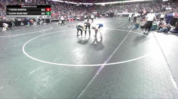 D3-215 lbs Semifinal - Tyson Martin, Aquinas vs Ilijah Sanchez, Shiocton