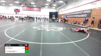 133 lbs Semifinal - Ryan Ripplinger, McKendree vs Henry Porter, Indiana