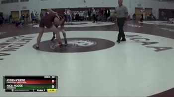 184 lbs Quarterfinal - Ayden Friese, Concordia Moorhead vs Nick Rogge, Augsburg
