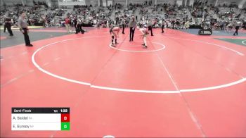106 lbs Semifinal - Aaron Seidel, PA vs Evin Gursoy, NY