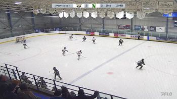 Replay: Home - 2024 CRAA Gold U13 vs CNHA Black U13 | Dec 21 @ 11 AM