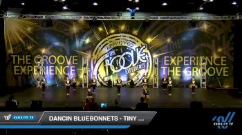 Dancin Bluebonnets - Tiny Pom [2019 Tiny - Pom Day 2] 2019 Encore Championships Houston D1 D2