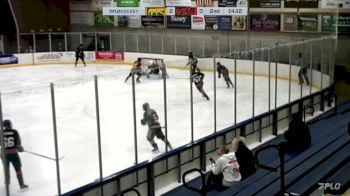 Replay: Home - 2025 CHI Cougars vs Blaze | Feb 21 @ 1 PM