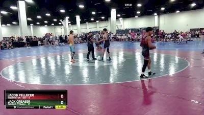 126 lbs Round 3 (16 Team) - Jack Creaser, Florida Pitbulls vs Jacob Pellecer, Wellington - DEV