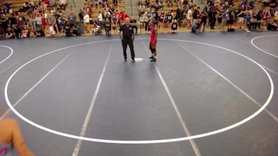 115 lbs Semis - Anica Barze, MN vs Haley Dezelske, WI