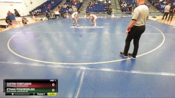 141 lbs 1st Place Match - Justin Fortugno, Wisconsin-Whitewater vs Ethan Pogorzelski, Wisconsin-Whitewater