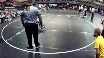 65 lbs Cons. Round 3 - Kellan Seaman, St Paul Youth Wrestling vs Liam Hansen, Arlington Eagles