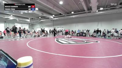 52 lbs Cons. Round 5 - Rocco Gannon, Inland Northwest Wrestling Training Center vs Pedro Pena, Arizona