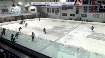 Replay: Home - 2024 Red Bank U12 vs Hitmen U12 Major | Feb 3 @ 10 AM
