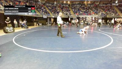 80 lbs Consy 2 - Levi VanAllman, Tyrone vs Lincoln Shontz, Lakeview