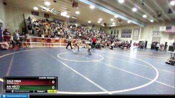 145 lbs Champ. Round 1 - Zale Ming, Mission Viejo vs Kai Necci, Santa Monica