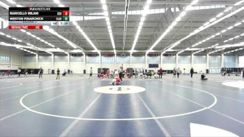 125 lbs Round 3 - Weston Pisarchick, Clarion vs Marcello Milani, Cornell