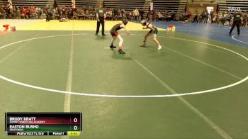 88 lbs Semifinal - Easton Busho, Owatonna vs Brody Kratt, Summit Wrestling Academy