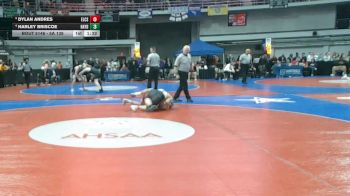 5A 138 lbs 3rd Place Match - Dylan Andres, Elmore County School vs Harley Briscoe, Hayden