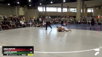 138 lbs Round 3 (6 Team) - Cole Gumlick, TNWA #2 vs Landon Brown, Guerrilla Red