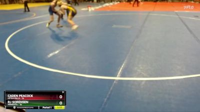150 lbs Semis (4 Team) - Caden Peacock, Little Falls vs RJ Sorensen, Minneota